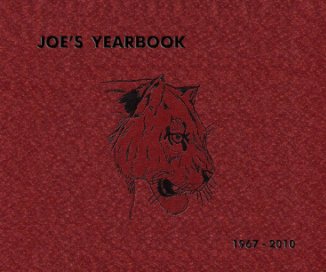 Joe's Yearbook book cover