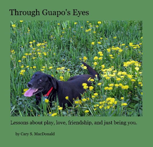 View Through Guapo's Eyes by Cary S. MacDonald