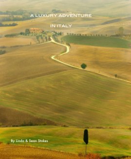 a luxury adventure in italy book cover