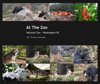 At The Zoo book cover