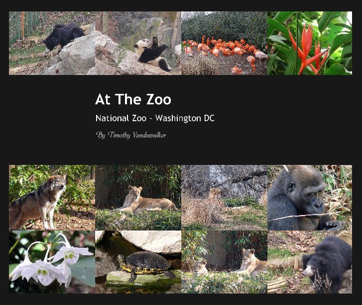 View At The Zoo by Timothy Vandawalker
