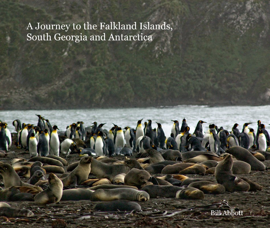 View A Journey to the Falkland Islands, South Georgia and Antarctica by Bill Abbott