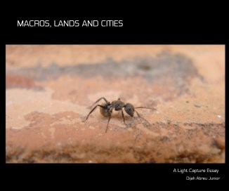 Macros, lands and cities book cover