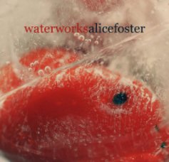 Waterworks book cover