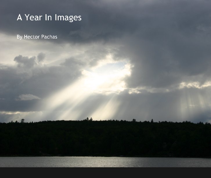 View A Year In Images by Hector Pachas