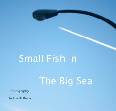 Small Fish in The Big Sea book cover