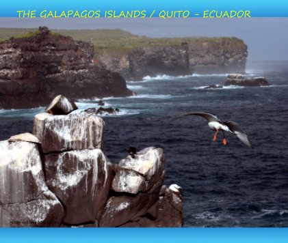 THE GALAPAGOS ISLANDS / QUITO - ECUADOR book cover