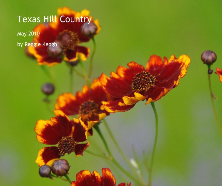 View Texas Hill Country by Reggie Keogh