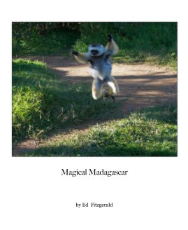 Magical Madagascar book cover