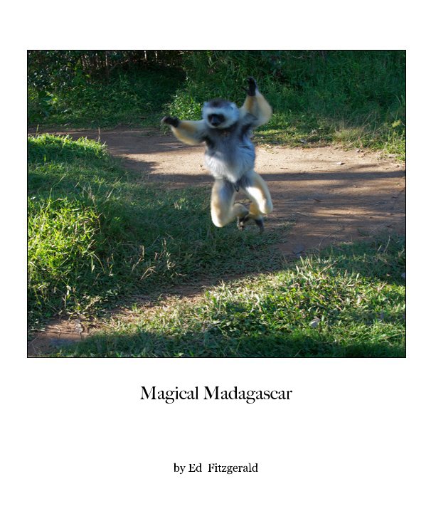 View Magical Madagascar by Ed Fitzgerald
