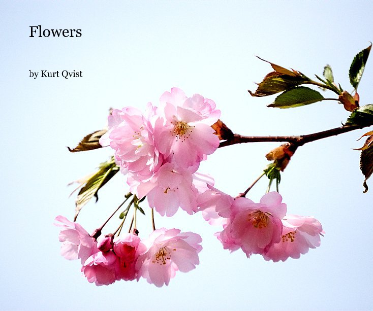 Ver Flowers por Kurt Qvist