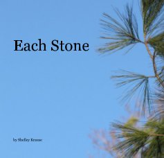 Each Stone book cover