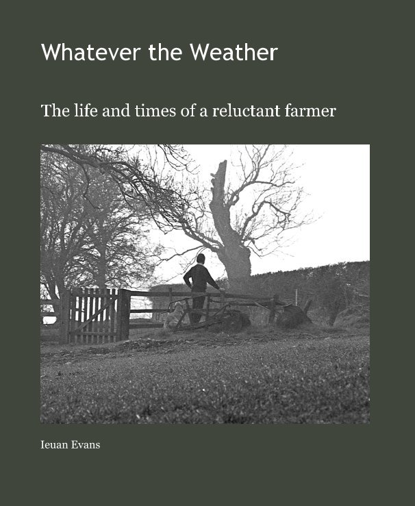 View Whatever the Weather by Ieuan Evans