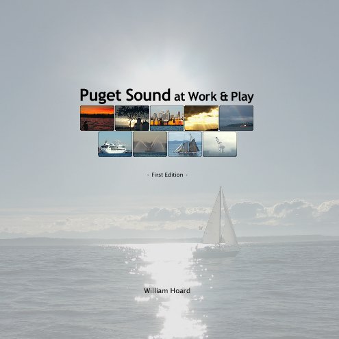 View Puget Sound by William Hoard
