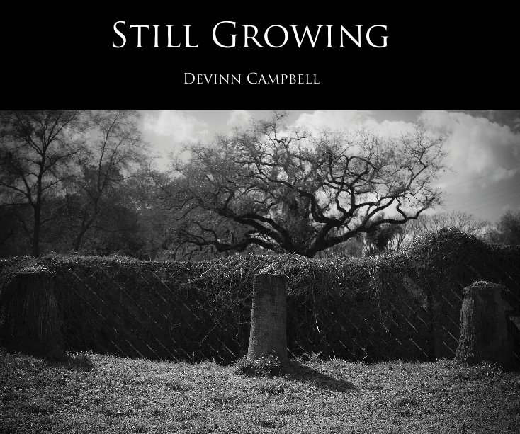 View Still Growing by Devinn Campbell
