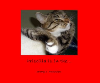 Priscilla is in the... book cover