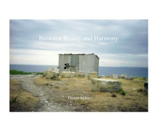 Between Beauty and Harmony book cover
