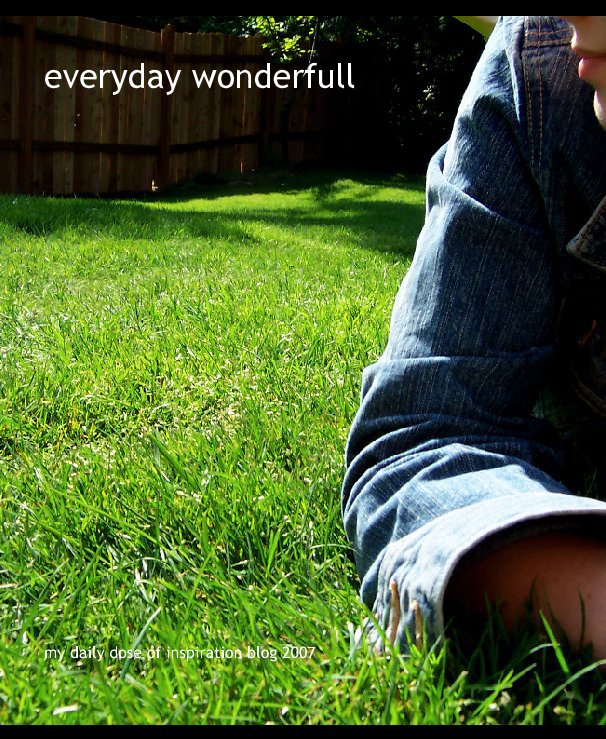 Ver everyday wonderfull por my daily dose of inspiration blog 2007