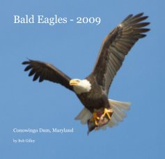 Bald Eagles - 2009 book cover