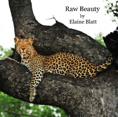 Raw Beauty by Elaine Blatt book cover