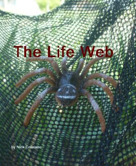 The Life Web book cover