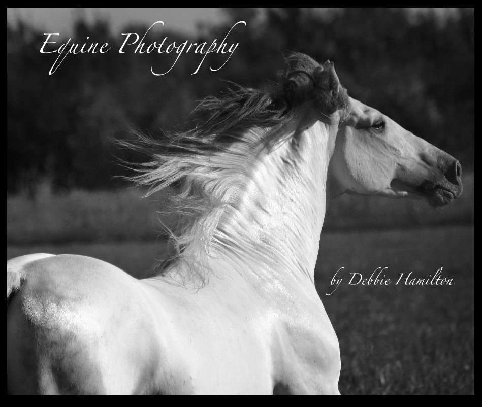 Ver Equine Photography por Debbie Hamilton