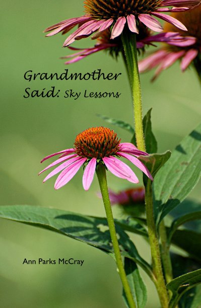 View Grandmother Said: Sky Lessons by Ann Parks McCray