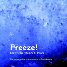 Freeze! (Paperback) book cover