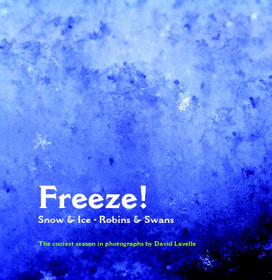Visualizza Freeze! (Hardback) di David Lavelle