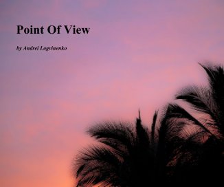 Point Of View book cover