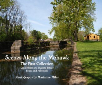 Scenes Along the Mohawk book cover