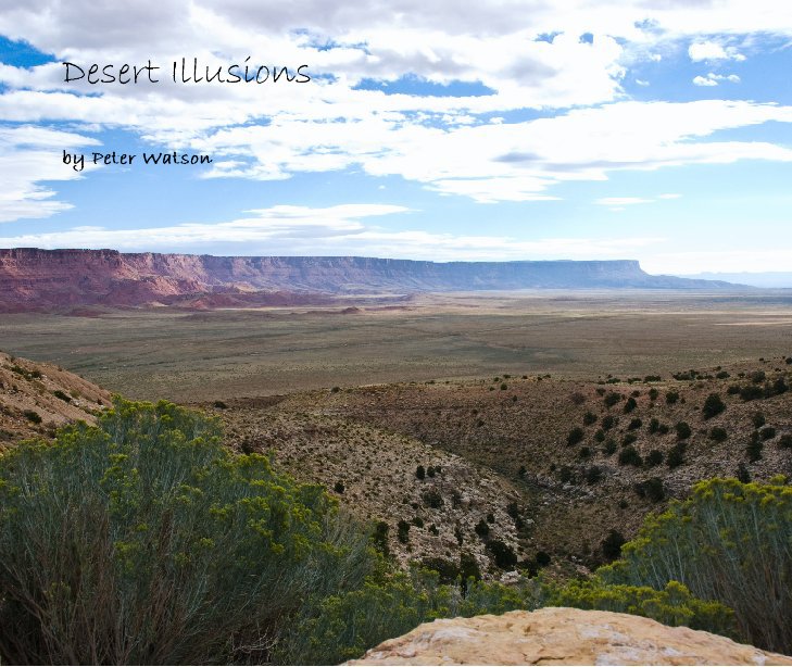 View Desert Illusions by Peter Watson