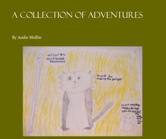 A Collection of Adventures book cover