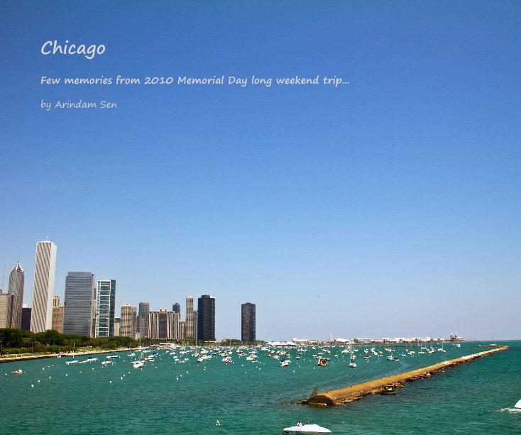 View Chicago by Arindam Sen