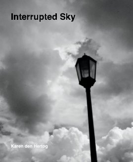 Interrupted Sky book cover