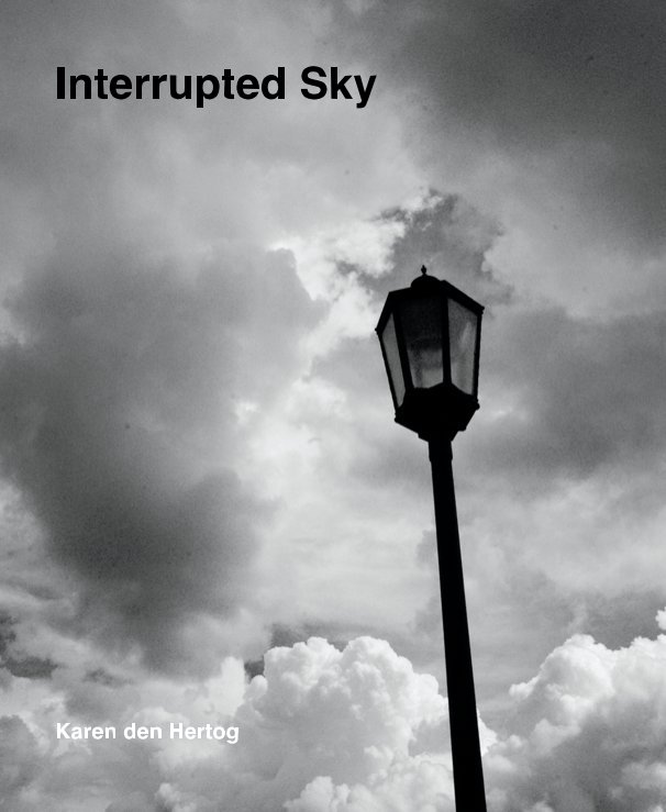 View Interrupted Sky by Karen den Hertog