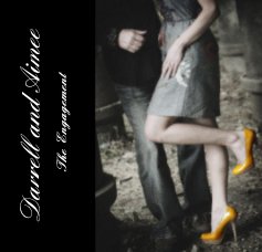 Darrell and Aimee book cover