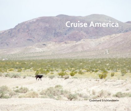 Cruise America book cover