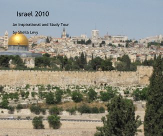 Israel 2010 book cover