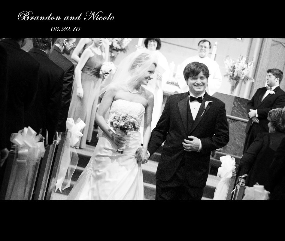 View The Shindel Wedding by Nicole L. Shindel