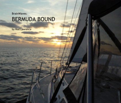 BrainWaves: BERMUDA BOUND book cover