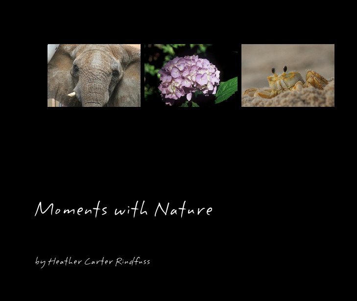 View Moments with Nature by Heather Carter Rindfuss