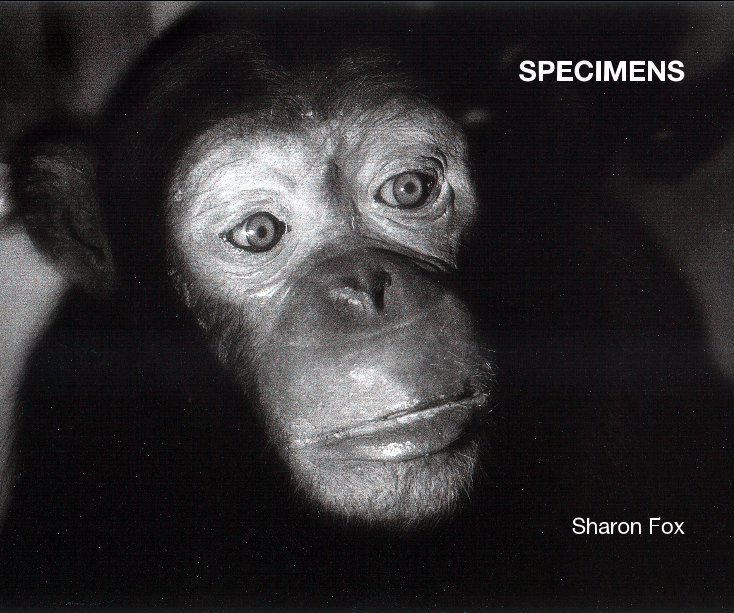 Visualizza SPECIMENS Sharon Fox di Sharon Fox