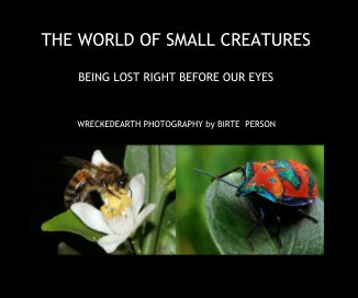 THE WORLD OF SMALL CREATURES book cover