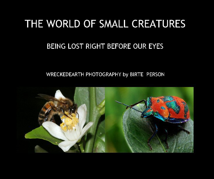 View THE WORLD OF SMALL CREATURES by WRECKEDEARTH PHOTOGRAPHY by BIRTE PERSON