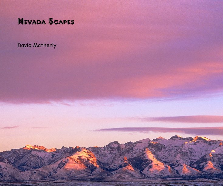 View Nevada Scapes by David Matherly