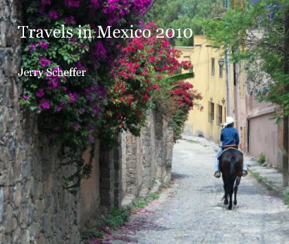 Travels in Mexico 2010 book cover