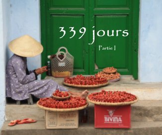 339 jours Partie I book cover
