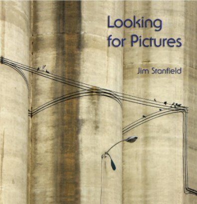 Looking for Pictures book cover