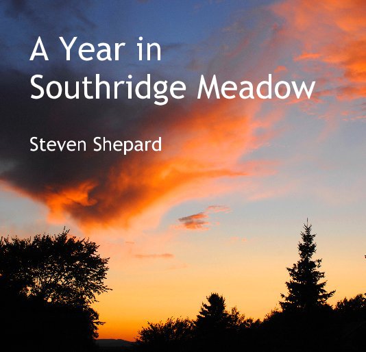 View A Year in Southridge Meadow by Steven Shepard